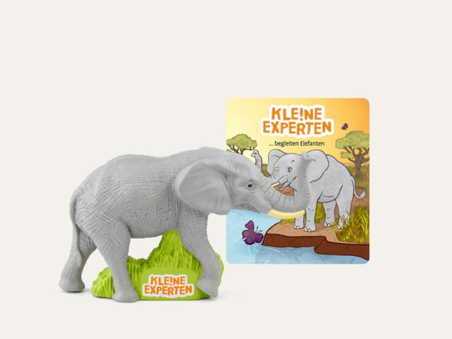 Kleine Experten Elefanten 🐘