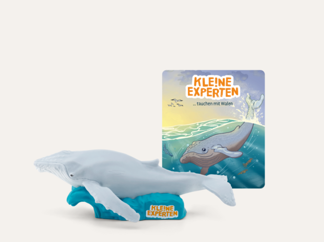 Kleine Experten Wale 🐋🐳
