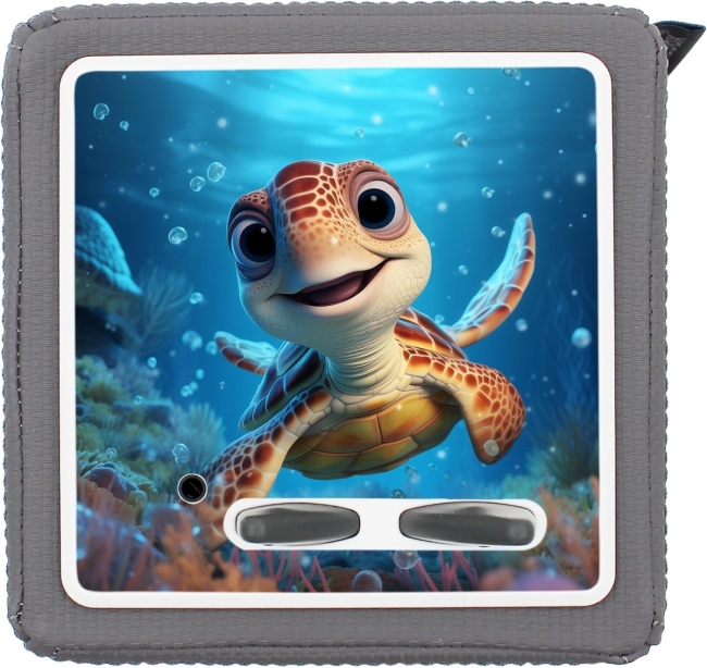 Schutzfolie Schildkröte 💦